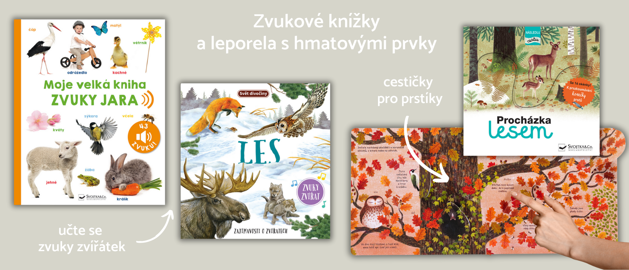 Zvukové knihy a hmatové